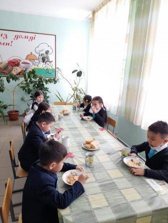 Тамақтандыру